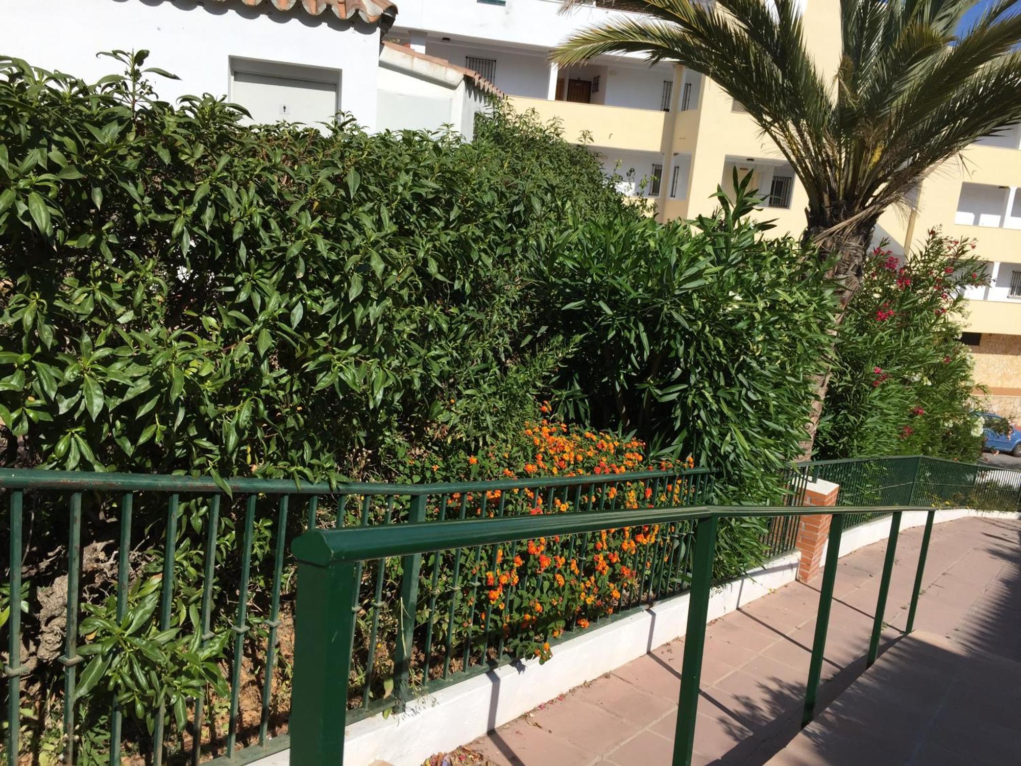 Stella Blanca 24B Apartment Fuengirola Ngoại thất bức ảnh