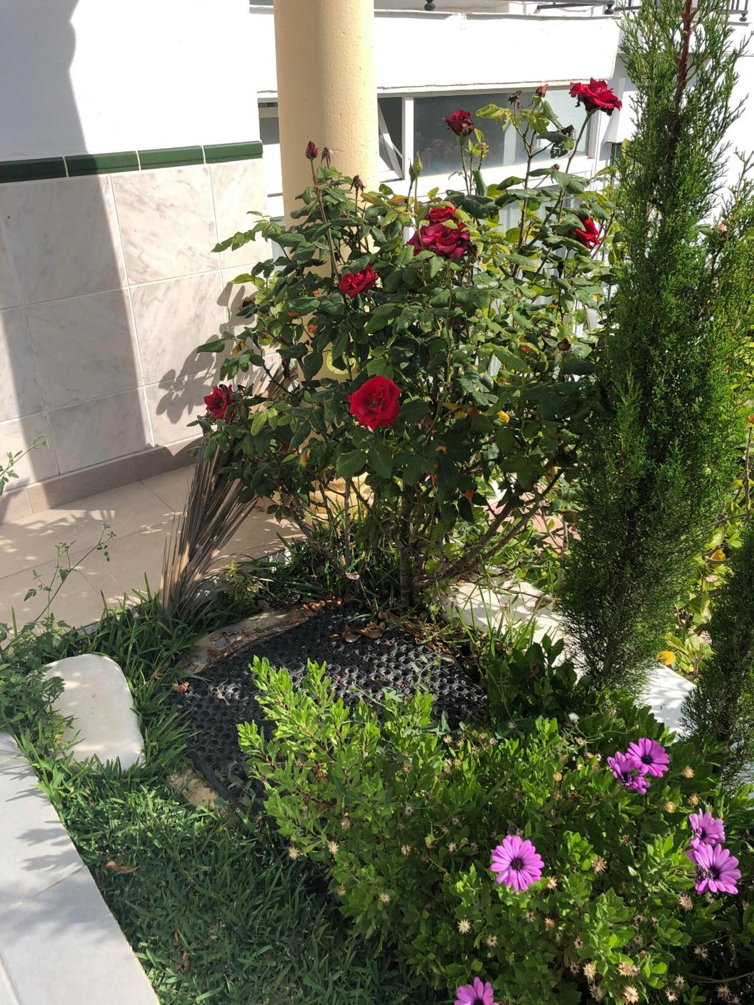 Stella Blanca 24B Apartment Fuengirola Ngoại thất bức ảnh